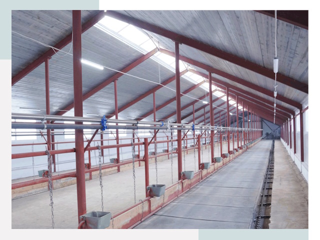 Строительство коровников в Ярцево от 610 руб.