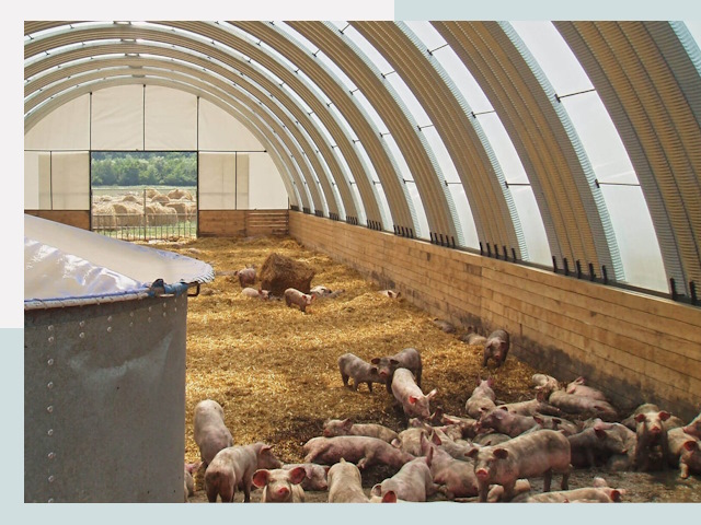 Строительство свинарников в Ярцево