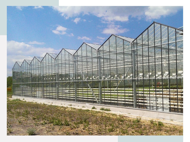 Строительство теплиц в Ярцево от 610 руб. за м²